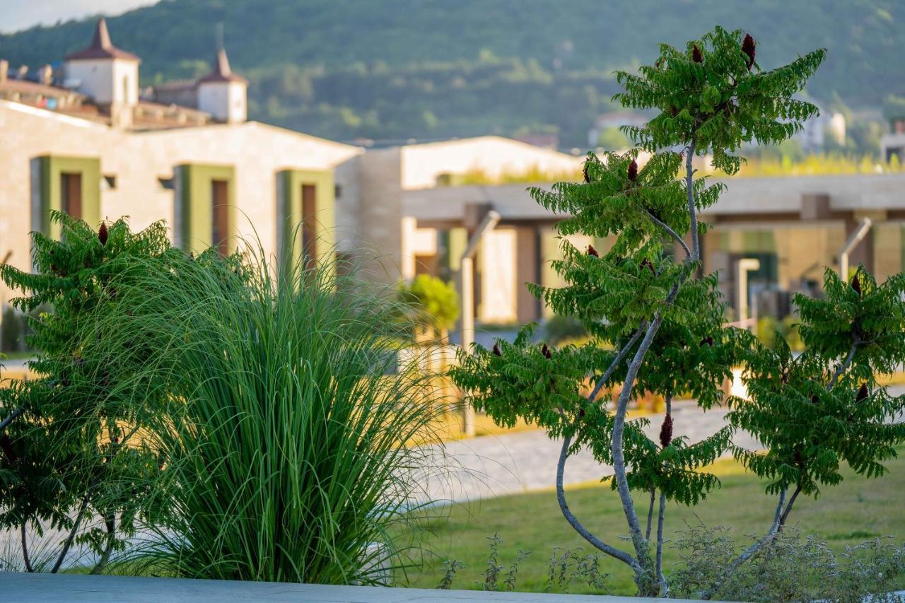 HVD Reina del Mar - 24 Hours Premium All Inclusive Obsor Exterior foto